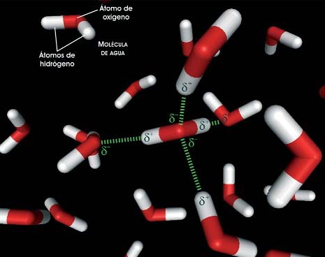 Enlaces de hidrógeno en el agua