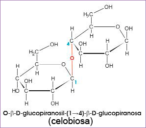 Celobiosa