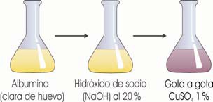 Reacción de Biuret