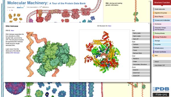 Ir a Molecular Machinery