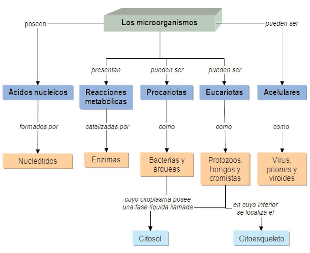 Mapa conceptual