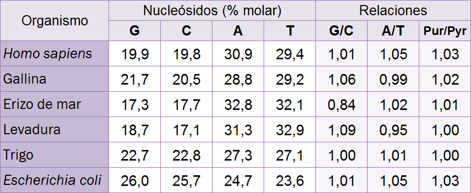 Porcentaje de bases en varias especies