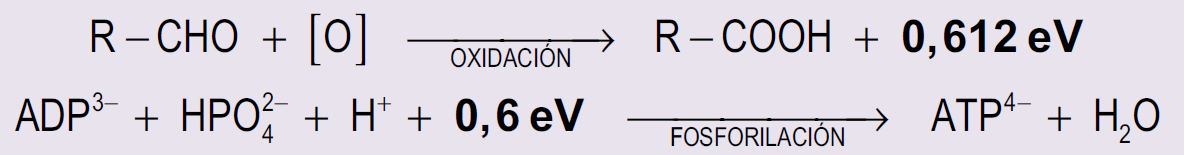 Ecuación 9