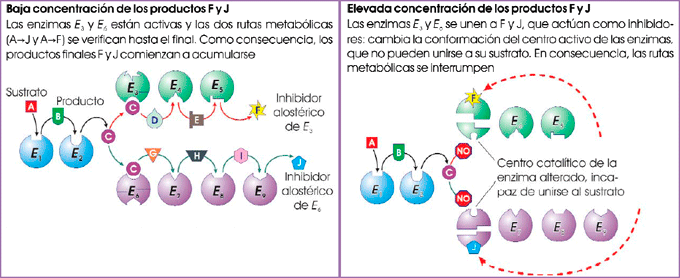 Inhibición por modulación negativa