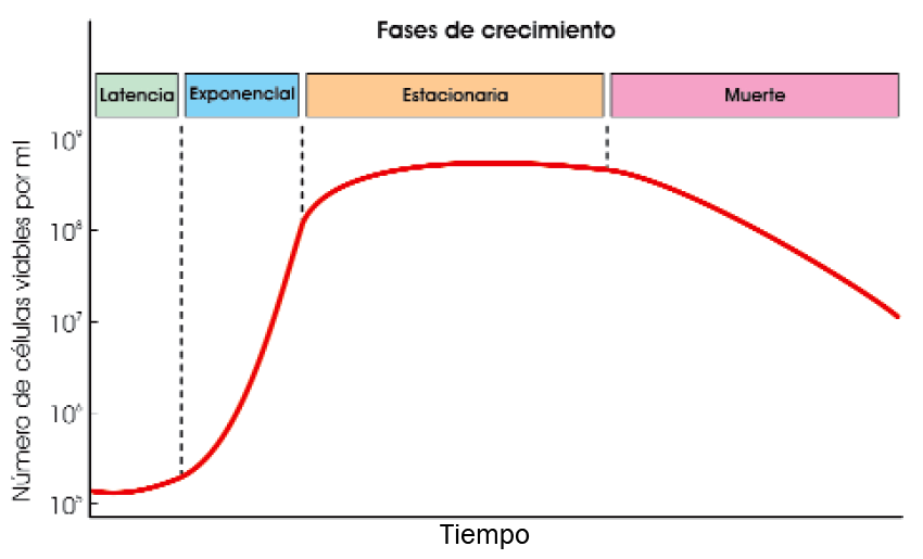 Curva de crecimiento de una bacteria