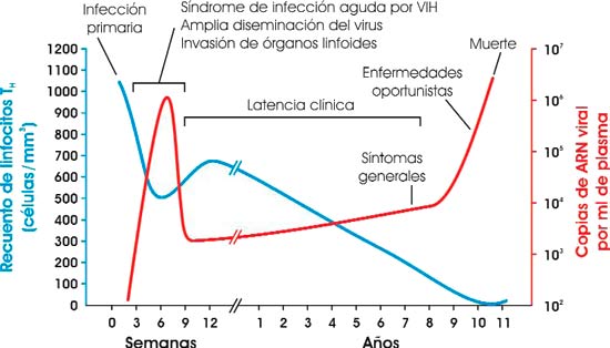 Evolución del SIDA