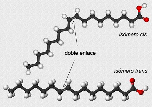 Ácido graso cis y trans