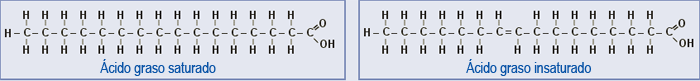 Ácidos grasos saturado e insaturado