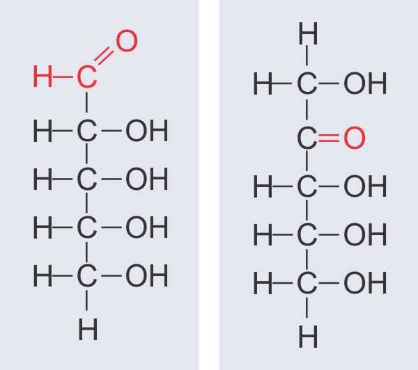 Composición glúcidos