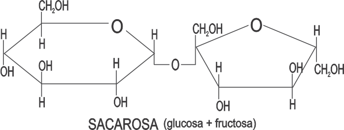 Sacarosa