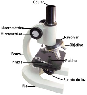 Microscopio