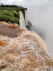 La deforestación elimina la protección frente a la erosión y pérdida de suelo fértil