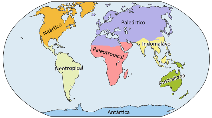 Regiones biogeográficas