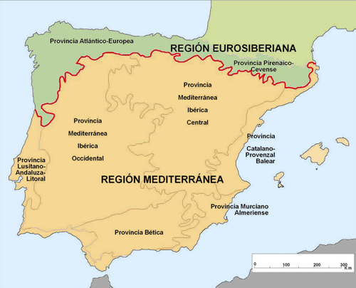 Regiones biogeográficas de la Península Ibérica