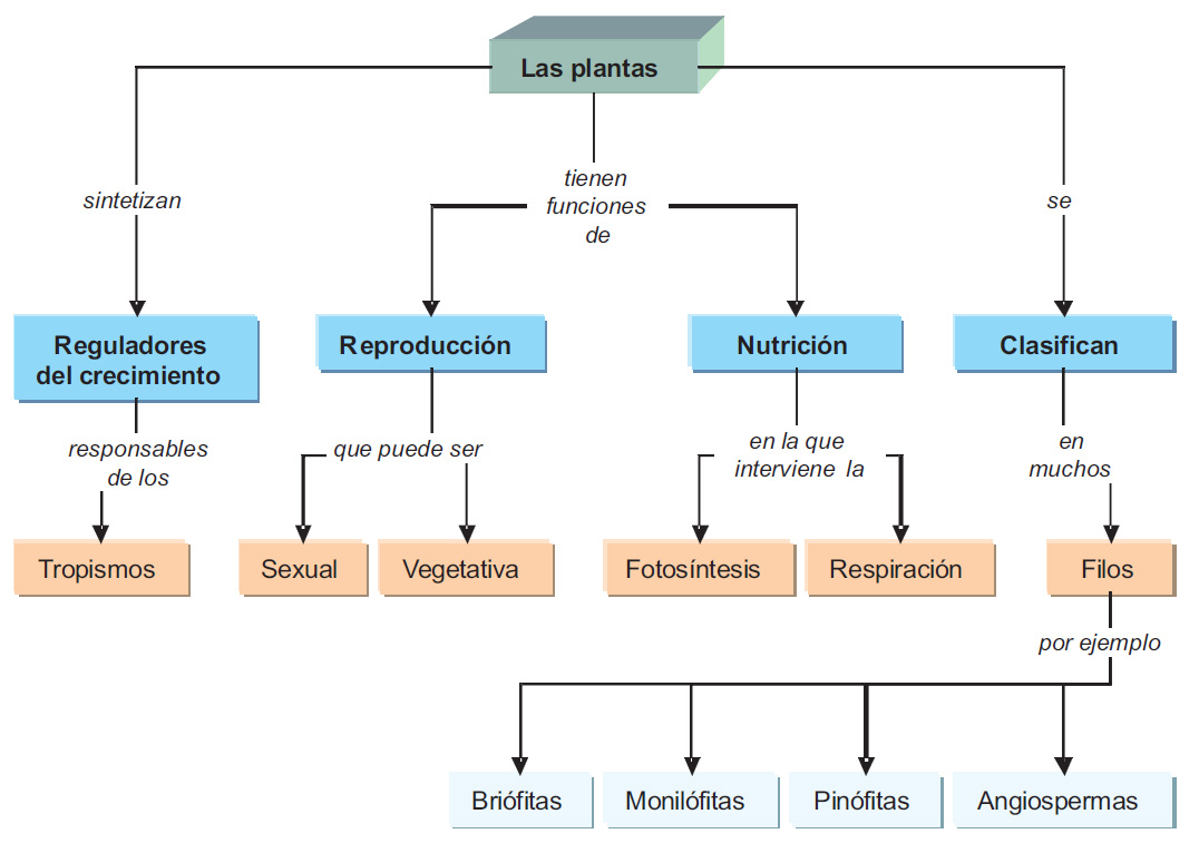 Mapa conceptual Unidad 4