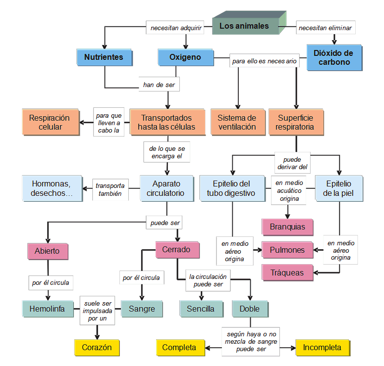 Mapa conceptual