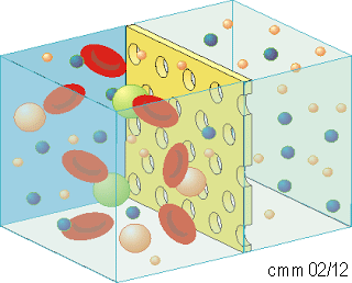 Modelo idealizado de membrana semipermeable