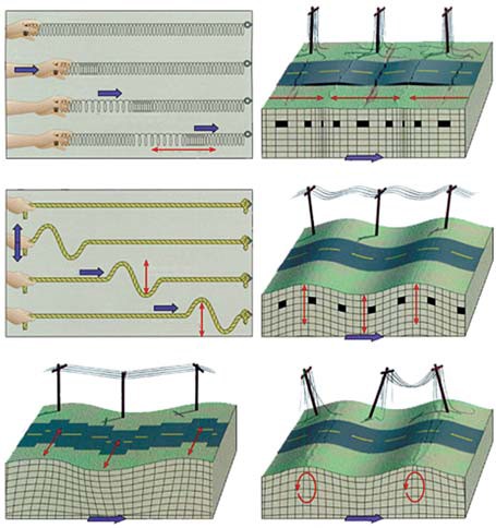 Tipos de ondas sísmicas