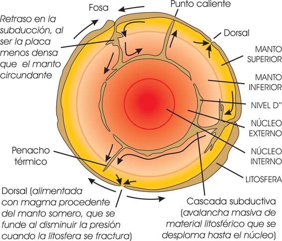 Esquema de la dinámica del manto