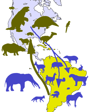 Migración de especies en América durante el Plioceno