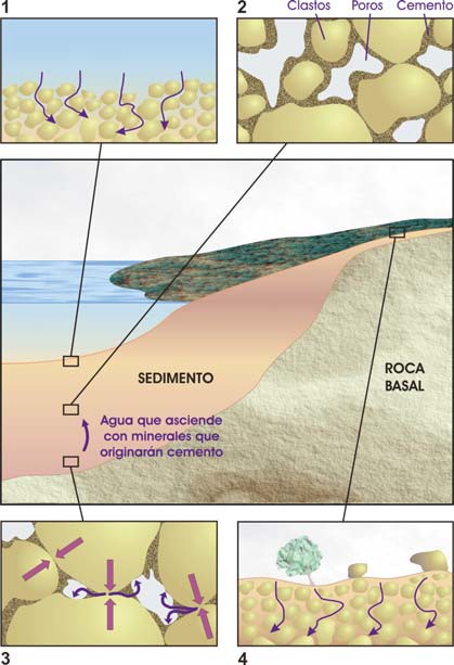 Diagénesis