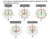 Gráficas de los tipos de sonidos representados en diferentes colores.