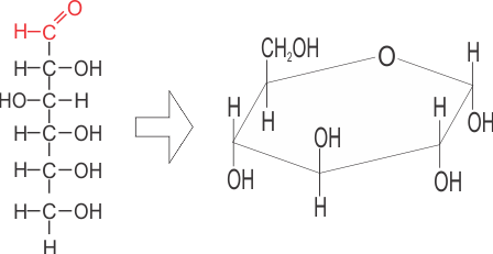 Ciclación de glucosa