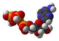 Modelo molecular