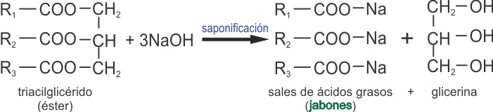 saponificación