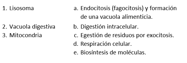 Solución 13.a