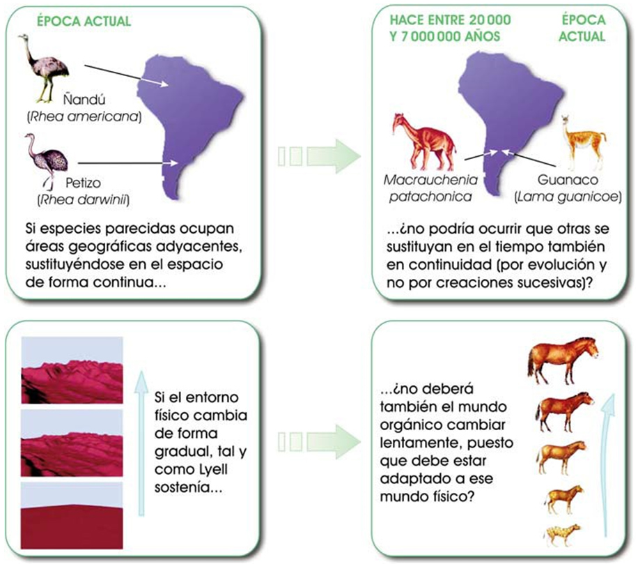 Razonamiento de Darwin