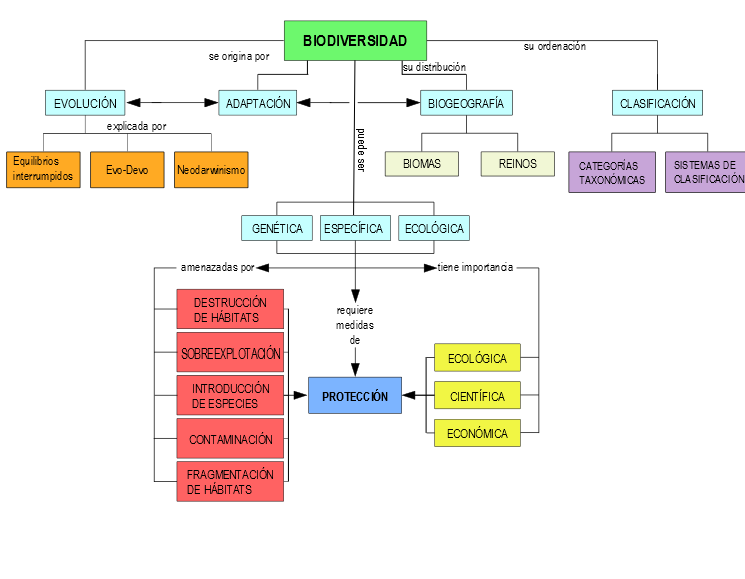 Mapa conceptual