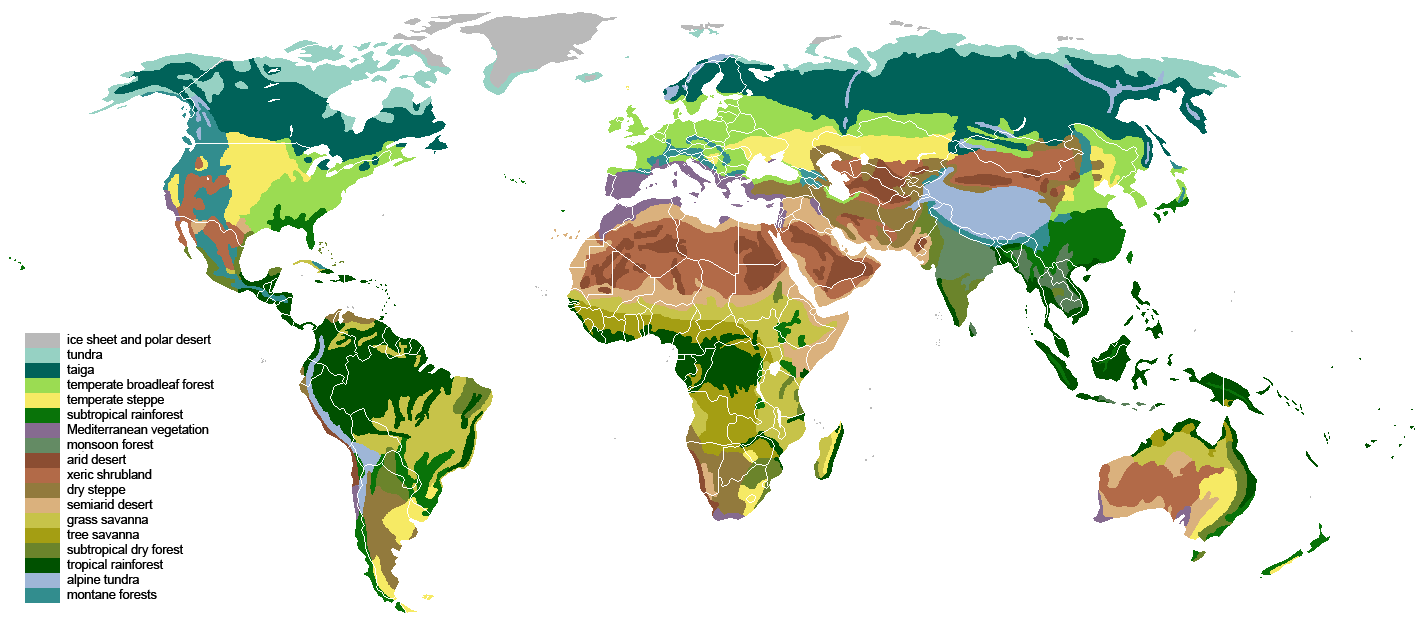 Distribución de los biomas terrestres