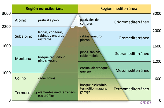 Pisos bioclimáticos