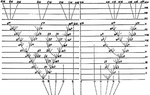 Árbol evolutivo hipotético que aparece en "El origen de las especies" de Darwin