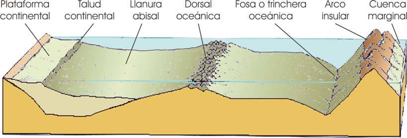 Representación idealizada de una cuenca oceánica