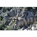 Prismación radial en una colada de pequeña magnitud ('rosa de piedra', Tenerife. Foto cmm).