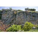 Zona de charnela de un pliegue anticlinal (cmm).