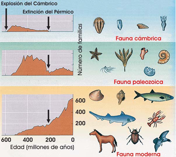 Extinciones