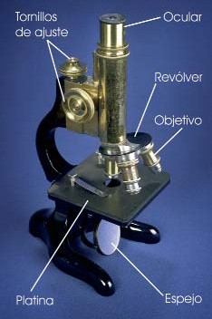 Microscopio óptico compuesto