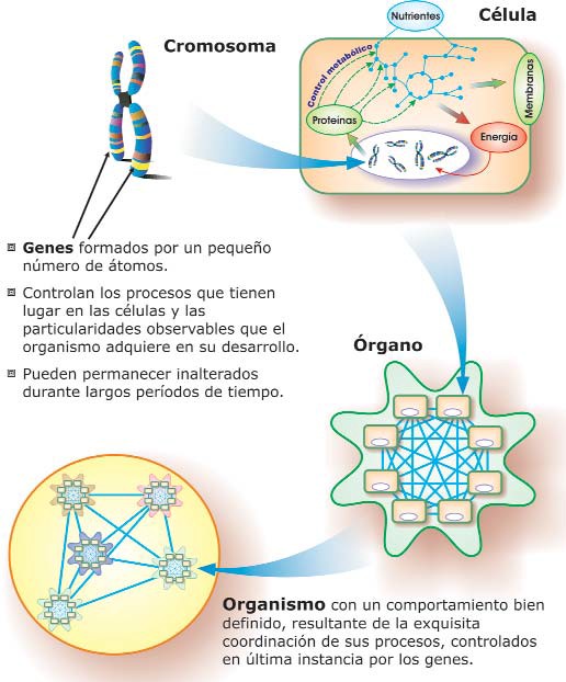 Orden a partir del orden