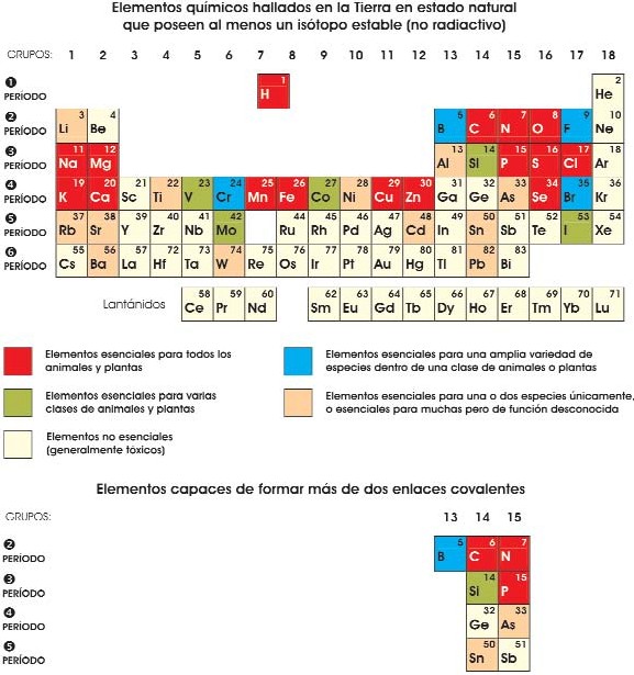 Elementos químicos en la materia viva