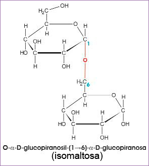 Isomaltosa