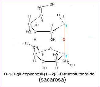 Sacarosa