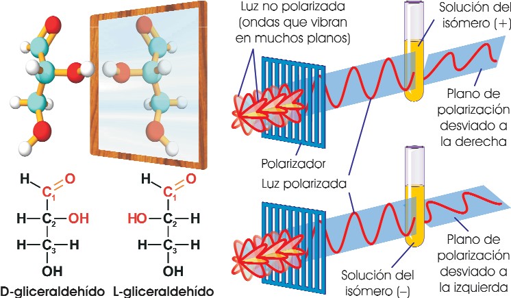 Isomería óptica