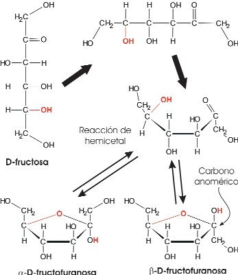 Ciclación de cetohexosas