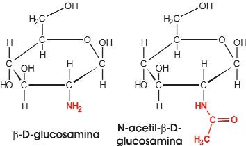 Derivados nitrogenados de D-glucosa