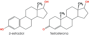 Estructuras del estradiol y de la testosterona