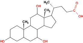 Estructuras del ácido cólico