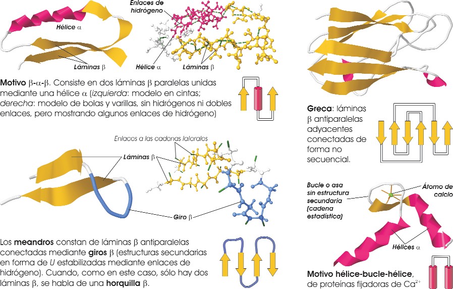 Estructuras supersecundarias